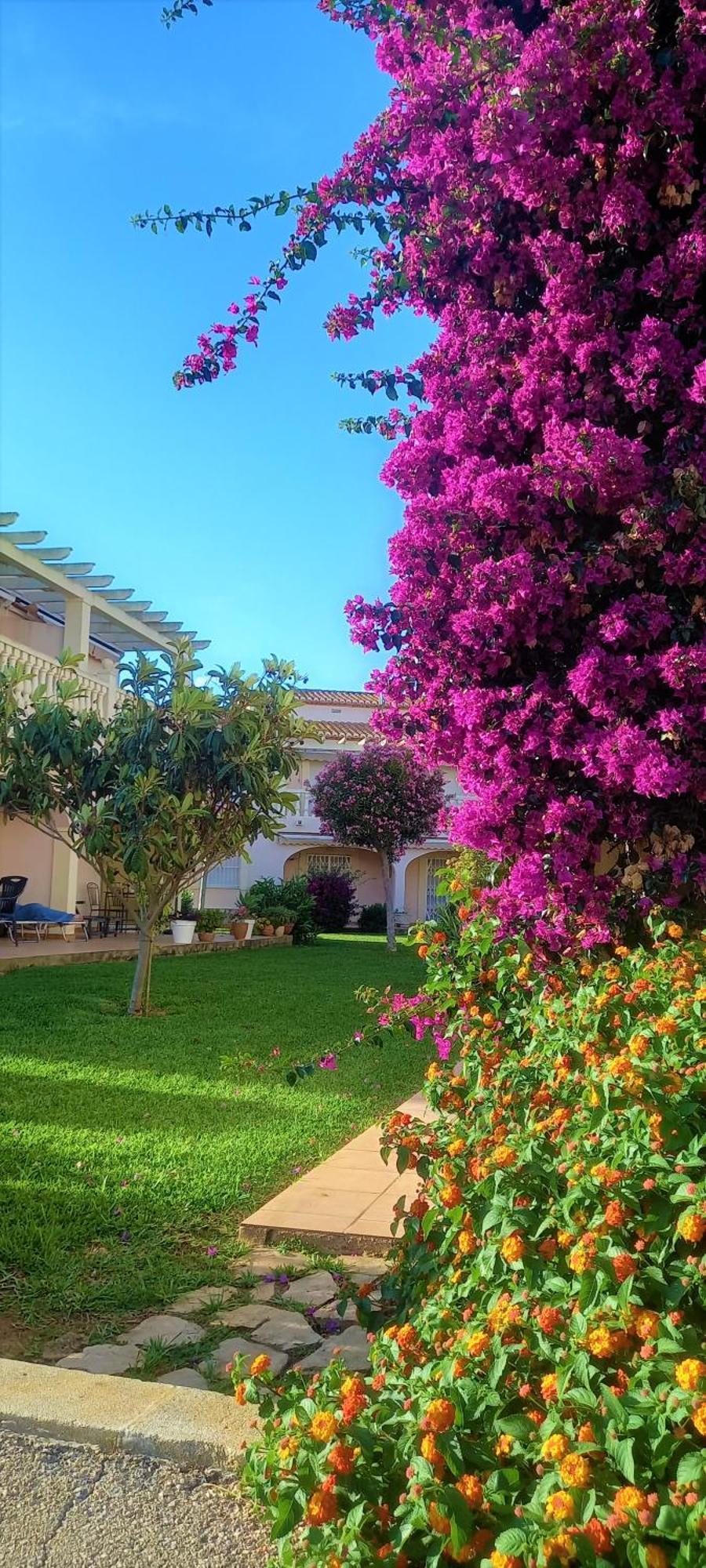 Apartmán La Giralda 2 Denia Les Marines Exteriér fotografie